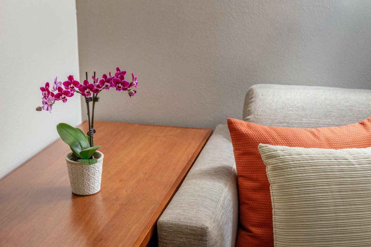 Hyatt Place Dallas/North Arlington/Grand Prairie Esterno foto